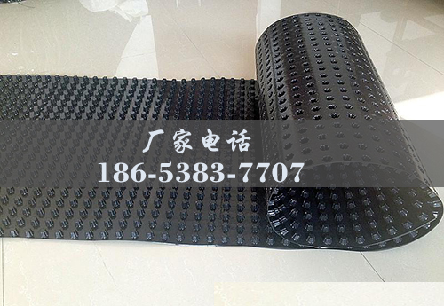 排水板廠家http://8thgradenothing.com/
