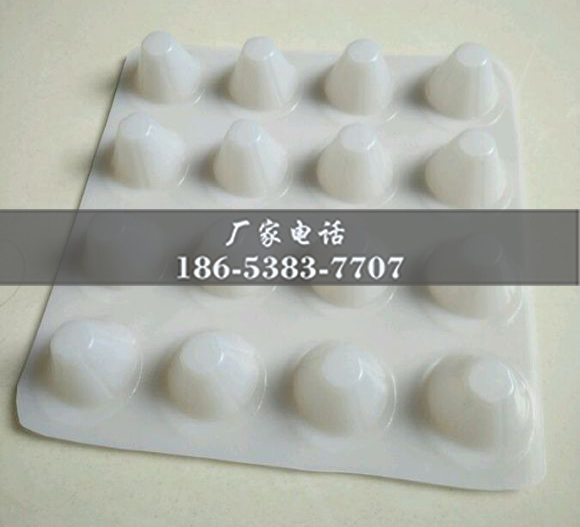 排水板廠家http://8thgradenothing.com/