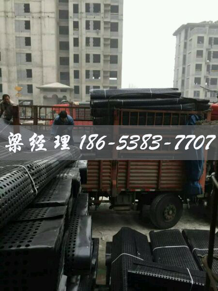 排水板廠家http://8thgradenothing.com/